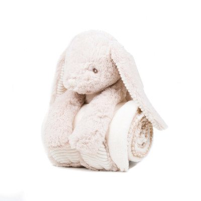 Rabbit and blanket
